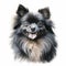 Realistic Charcoal Drawing Of Pomeranian Dog Portrait