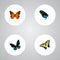 Realistic Checkerspot, Danaus Plexippus, Hairstreak And Other Vector Elements. Set Of Beauty Realistic Symbols Also