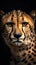 Realistic Cheetah on Dark Background.
