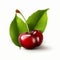 Realistic Cherry With Green Leaves On White Background
