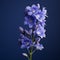 Realistic Chiaroscuro Delphinium: Lifelike Micro Photograph