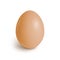 Realistic chicken egg