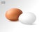 Realistic chicken egg set. Brown and white eggs. Isolated vector mockup. Easter concept.