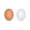 Realistic chicken eggs isolated on white background with shadow. Vector illustration.