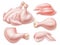 Realistic chicken meat. Raw turkey, whole poultry carcass and individual parts, breast and shins, uncooked thighs and