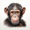 Realistic Chimpanzee Face Illustration: Hyper-detailed Rendering In Flat Style