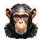 Realistic Chimpanzee Head Illustration In 8k Uhd Resolution