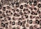 Realistic closeup vector illustration of fleece fabric with leopard pattern. Brown-beige and black striped repeating on the