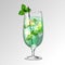 Realistic cocktail mojito glass vector illustration