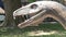 Realistic coelophysis dinosaur in dino park Head and body