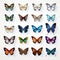Realistic Collection Of Colorful Butterflies On Transparent Background