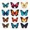 Realistic Collection Of Colorful Butterflies On White Background