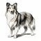 Realistic Collie Dog Vector Illustration On White Background