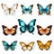 Realistic Colored Butterflies On White Background