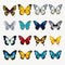 Realistic Colored Butterfly Set Vector Png Collection