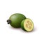 Realistic colored juicy slice of green feijoa. Isolated half of colorful feijoa and whole round fruit on white background