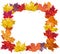 Realistic colorful autumn maple leaves frame