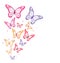 Realistic Colorful Butterflies Isolated for Spring