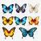 Realistic Colorful Butterflies On Transparent Background - 3d Render