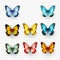 Realistic Colorful Butterfly Vector Illustrations On Transparent Background