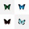 Realistic Common Blue, Spicebush, Beauty Fly And Other Vector Elements. Set Of Butterfly Realistic Symbols Also Includes