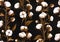 Realistic cotton pattern. boho flowers on black background. Nature plant buds for agriculture farm, floral fabric print