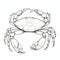 Realistic Crab One-line Drawing: Minimalistic And Simple Artwork