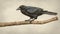 Realistic Crow Drawing On Branch: Detailed And Characterful Animal Portrait