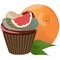 Realistic cupcake. Sweet creamy desserts muffins with grapefruit, delicious confectionery and baking.