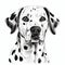 Realistic Dalmatian Dog Head Drawing - Detailed Character Illustration