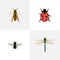 Realistic Damselfly, Ladybird, Midge And Other Vector Elements. Set Of Insect Realistic Symbols Also Includes Ladybug