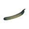 Realistic dark green zucchini with assorted light green and yellow stripes and a stem isolated in white background