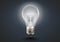 Realistic day light bulb illuminated in the dark. Concept of business success