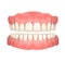 Realistic dentures or false teeth, dentistry