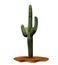 Realistic desert cactus Carnegia giant. Plant of desert among sand and rocks in habitat. Realistic 3d volume vector illustration