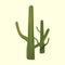 Realistic desert cactus prickly pear