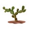 Realistic desert cactus prickly pear. Opuntia plant of desert among textured gradient sand. Realistic 3d volume vector