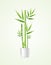 Realistic Detailed 3d Bamboo House Plant. Vector