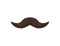 Realistic Detailed 3d Black Fake Mustache. Vector