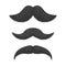 Realistic Detailed 3d Black Fake Mustaches. Vector