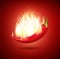 Realistic Detailed 3d Burning Chili Pepper in Fire on a Red Background. Vector
