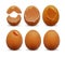 Realistic Detailed 3d Chicken Egg Broken and Whole Set. Vector