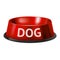 Realistic Detailed 3d Dog Pet Feeding Bowl. Vector