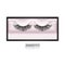 Realistic Detailed 3d False Eyelashes in Package Box. Vector