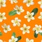 Realistic Detailed 3d Frangipani Flowers Seamless Pattern Background. Vector