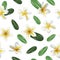 Realistic Detailed 3d Frangipani Flowers Seamless Pattern Background. Vector
