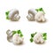 Realistic Detailed 3d Fresh Champignons Mushrooms with Green Leaves Set. Vector