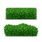 Realistic Detailed 3d Green Hedges Set. Vector