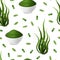 Realistic Detailed 3d Green Spirulina Seamless Pattern Background. Vector