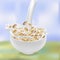 Realistic Detailed 3d Instant Oatmeal Advertising Flyer Concept Banner. Vector